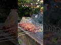 BBQ in De Tuin / BBQ di Taman / BBQ in The Garden / 花园里的烧烤 / حفلة شواء في الحديقة / 庭でのバーベキュー