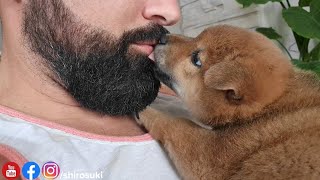 morning kisses & mlerms for hooman