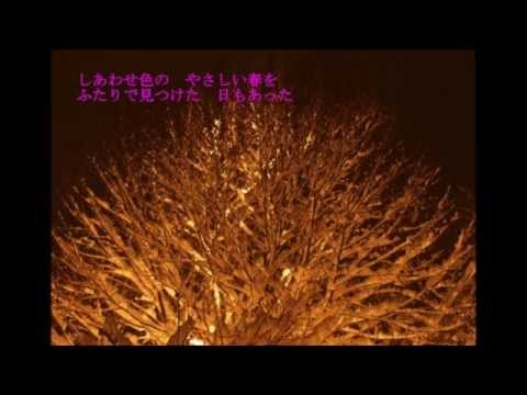雪の宿（新沼謙治）♪♪ COVER