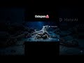🐙 “Samundar ka asli genius! Baby Octopus se Deep Ocean Hunter banne tak ka safar 😮🌊” #cinematic