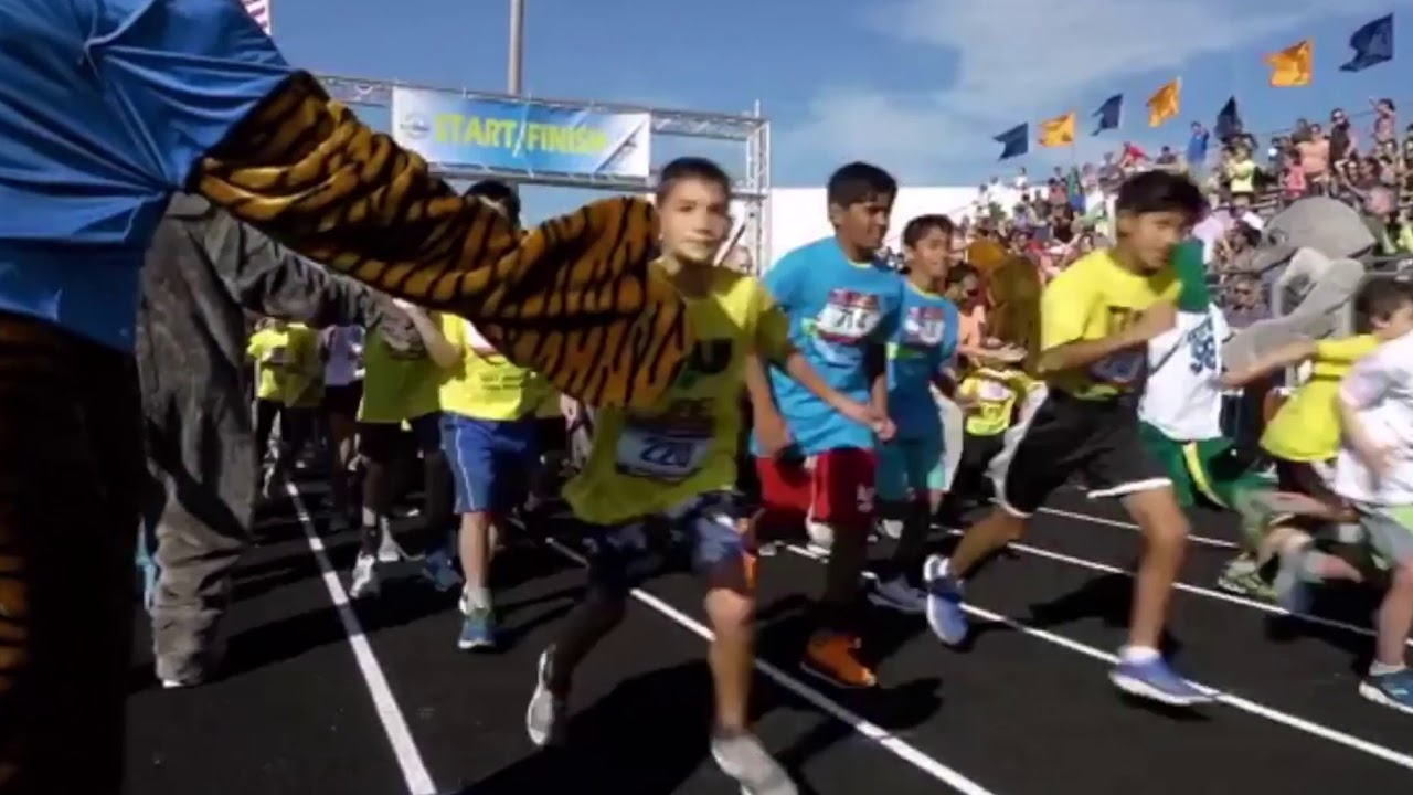 How to Sign Up for IPEF Marathon Pulse