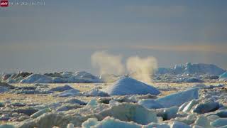 Whale Spouts Rise Among the Icebergs in Ilulissat, Greenland | Arctic 4K (Sep 18, 2026)