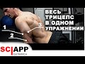 Упражнение На Весь Трицепс - Длинная, Латеральная и Медиальная Головки Вместе | Джефф Кавальер