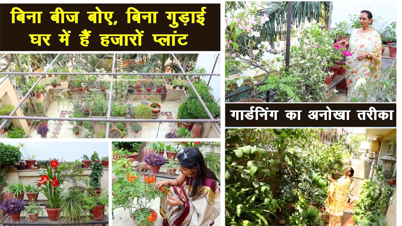 गार्डनिंग की जादूगर से सीखिए पौधे लगाने का अनोखा तरीका 😍 Learn Easy Gardening Hacks, Summer Plants