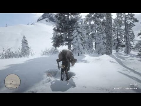 Red Dead Redemption 2 Rdr2 Sierra Nevada Bighorn Sheep Location Zoologist 114 Skin Deep Youtube