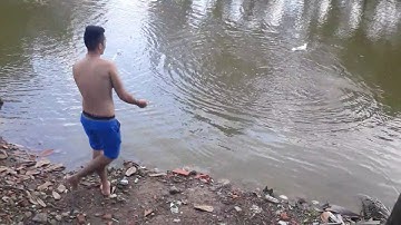 câu cá được cá măng vá đã..