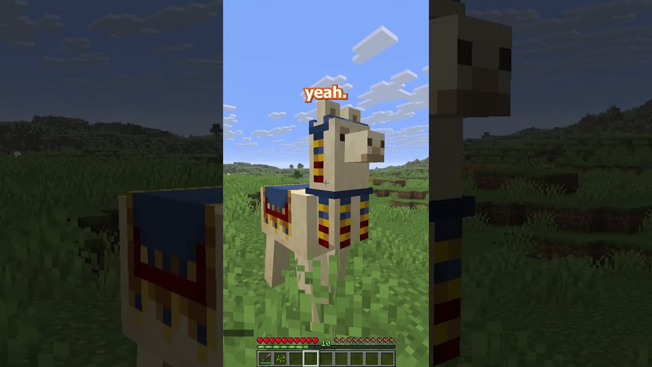 I Auto Transcribed ALL Mobs To Find Out What They ACTUALLY Are Saying Minecraft Summeronshorts