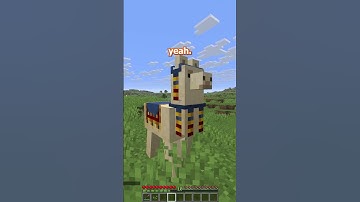 i auto-transcribed ALL mobs to find out what they ACTUALLY are saying #minecraft #summeronshorts