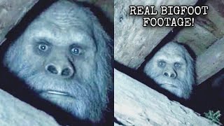 The NEW Clearest Bigfoot Footage YOU Haven’t Seen!
