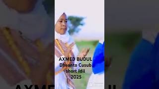 Axmed Budul - Dhaanto Cusub 2025