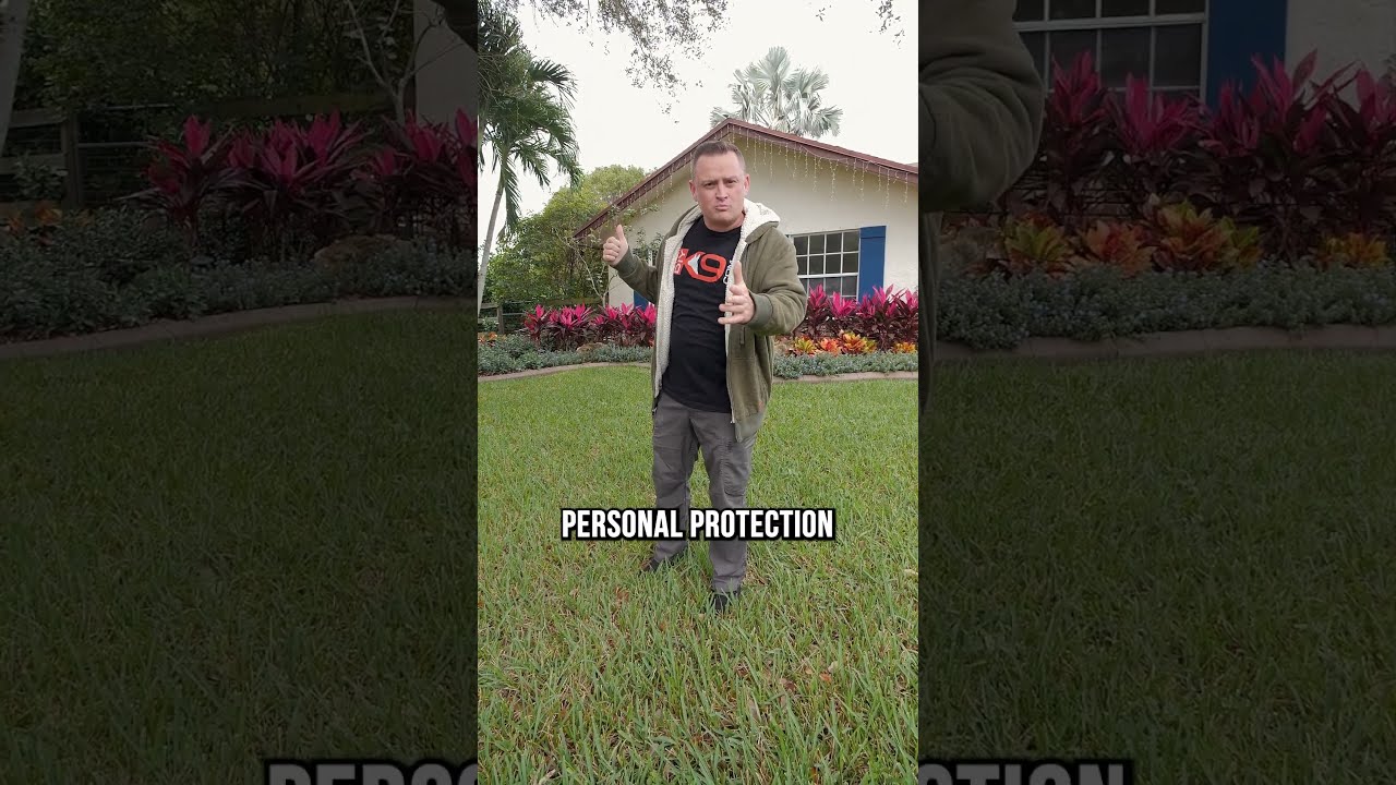 What Happens When Your Protection Dog Doesn T Recognize You
