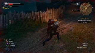 Witcher 3: Wild Hunt Floating Botchling Glitch