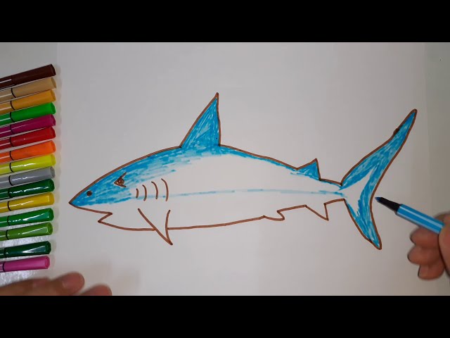 Draw The Shark | Vẽ Con Cá Mập - Youtube