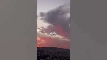 الحب أن تتصبري أنت اشتياقي والوطن 
