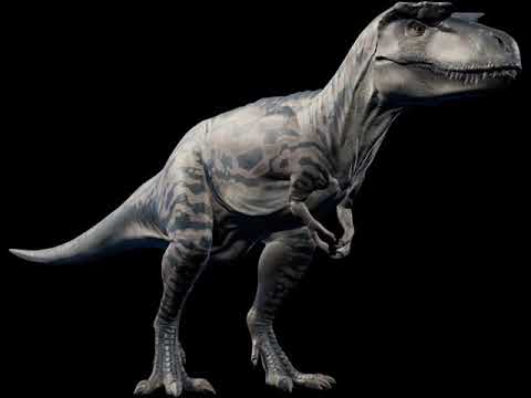 albertosaurus jwe