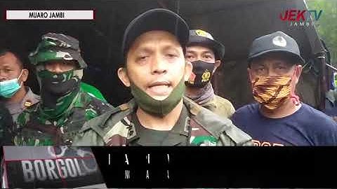 PENGGEREBEKAN LOKASI ILEGAL LOGGING BERLANGSUNG DRAMATIS