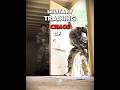 Military Training Chaos Of The World 