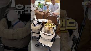 강아지 유모차 고민하지말고 펫랜드로 #개모차 #강아지유모차 #부천애견동반 #부천애견용품 #펫랜드