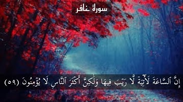 سورة غافر 474 page {القارئ هزاع البلوشي}