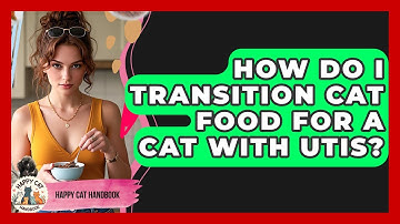 How Do I Transition Cat Food For A Cat With UTIs? - Happy Cat Handbook