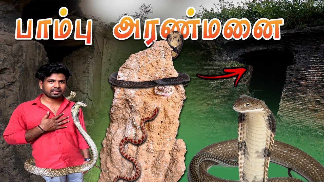 😭நாகலோகத்திற்கு செல்லும் வழி😱  | 21 அறை அரண்மனை | THIRUPPULLANI | PERCEPTION 65
