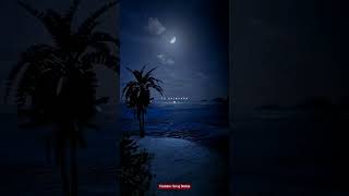 Saiyaara Saiyaara Main Saiyaara Saiyaara Tu Saiyaara Ek Tha Tiger