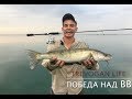 Рыбалка на Весёловском водохранилище (ПОБЕДА над ВВ. Бешеный судак, окунь, щука ЧАСТЬ ПЕРВАЯ! )