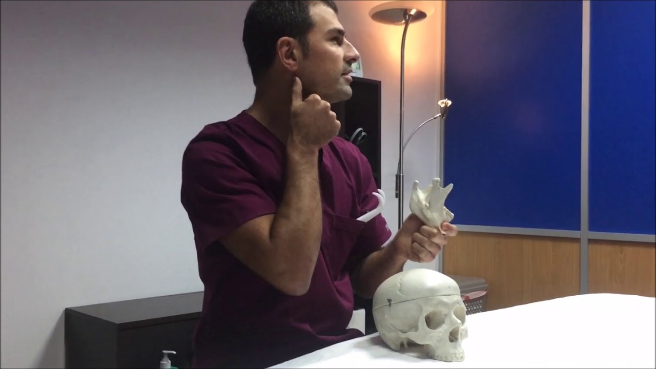 medicina tradicional japonesa Osteopatía en Sabadell Articulacion temporo mandibular