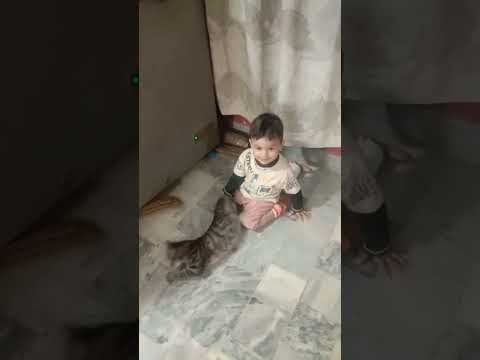 جانی زوحان