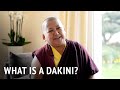 What is a dakini  khandro rinpoche