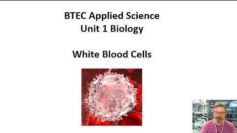BTEC Applied Science: Unit 1 Biology White Blood Cells