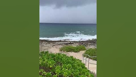 CSEC January 2018 Paper 1 Question 30