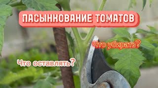 ПАСЫНКОВАНИЕ ТОМАТОВ. Подробное видео для начинающих. Какие побеги оставлять, а какие цветки убирать