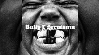 BULLY feat CeeLo Green But I Added SEROTONIN