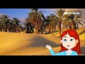 Saudi Arabia: Land of Deserts and Holy Cities