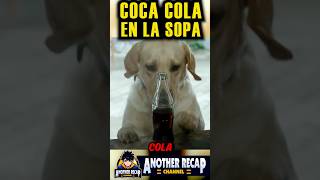 Este PERRO le puso COCA COLA a la SOPA! #resumen #peliculas #viralvideo