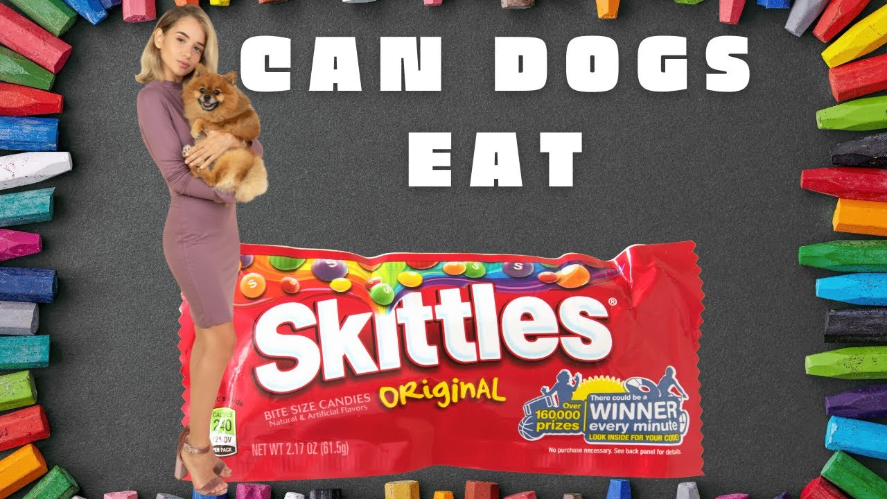 Can Dogs Eat Skittles? Are They Safe For Dogs To Eat? YouTube