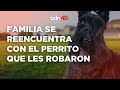 Recuperan a su perrito después de perderlo en un asalto