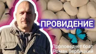 № 14⚡️Провидение/Прозорливость/Проницательность/Цена/Образ/Замысел⚡ЗРИ В КОРЕНЬ⚡️20.04.23⚡Брат Роман