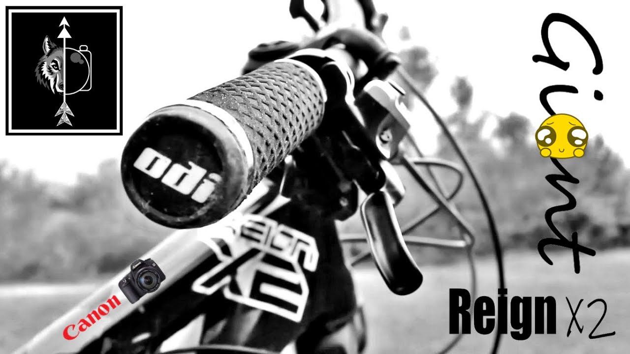 Giant 2011 Reign 2x........