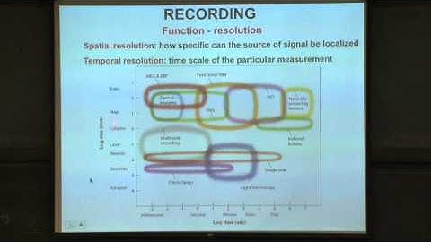 Lec 4 | MIT 9.00SC Introduction to Psychology, Spring 2011