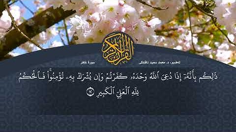 تەفسیرا قورئانا پیروز (د. محمد سعید) سورة غافر