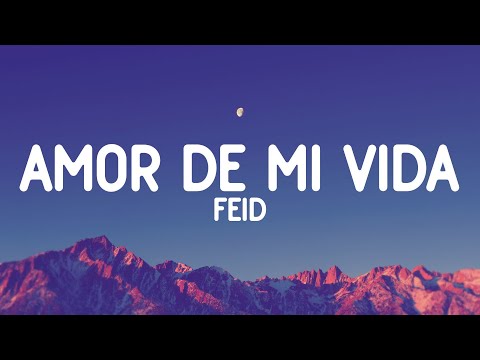 Feid - Amor De Mi Vida (Letra/Lyrics)