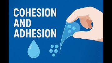 Cohesion and Adhesion