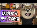 【質問募集】育犬&ペットグッズに関する質問・相談お気軽にどうぞ!【9/20】