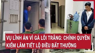 Vụ lĩnh án vì gà lôi trắng: Chính quyền, kiểm lâm tiết lộ điều bất thường