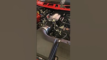 Trans AM WS6 Forged 403 build Holley EFI