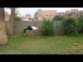 Mohamed Hamdy Short 