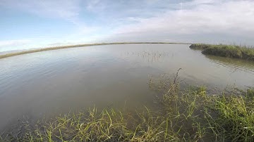 Timelapse of Tide Flood & Ebb on Northey Island, Essex