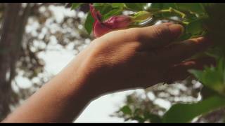 Pentagrama - Sigue siendo tu ( Prod by. Soul Prod )